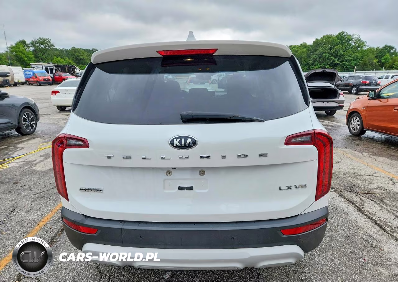 2020 Kia Telluride Lx VIN:5XYP24HC9LG059237 - 6
