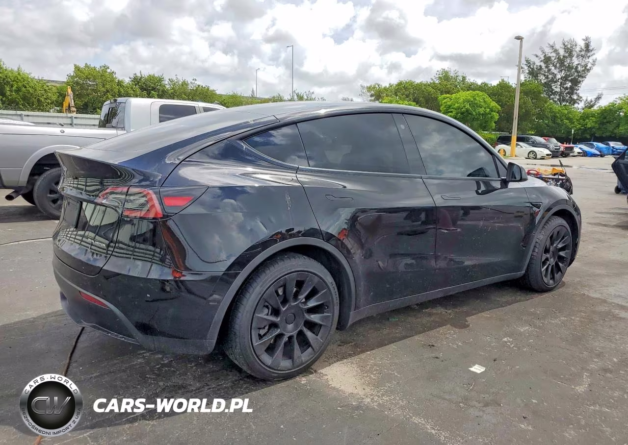 2023 Tesla Model Y VIN:7SAYGDEE5PA078442 - 3