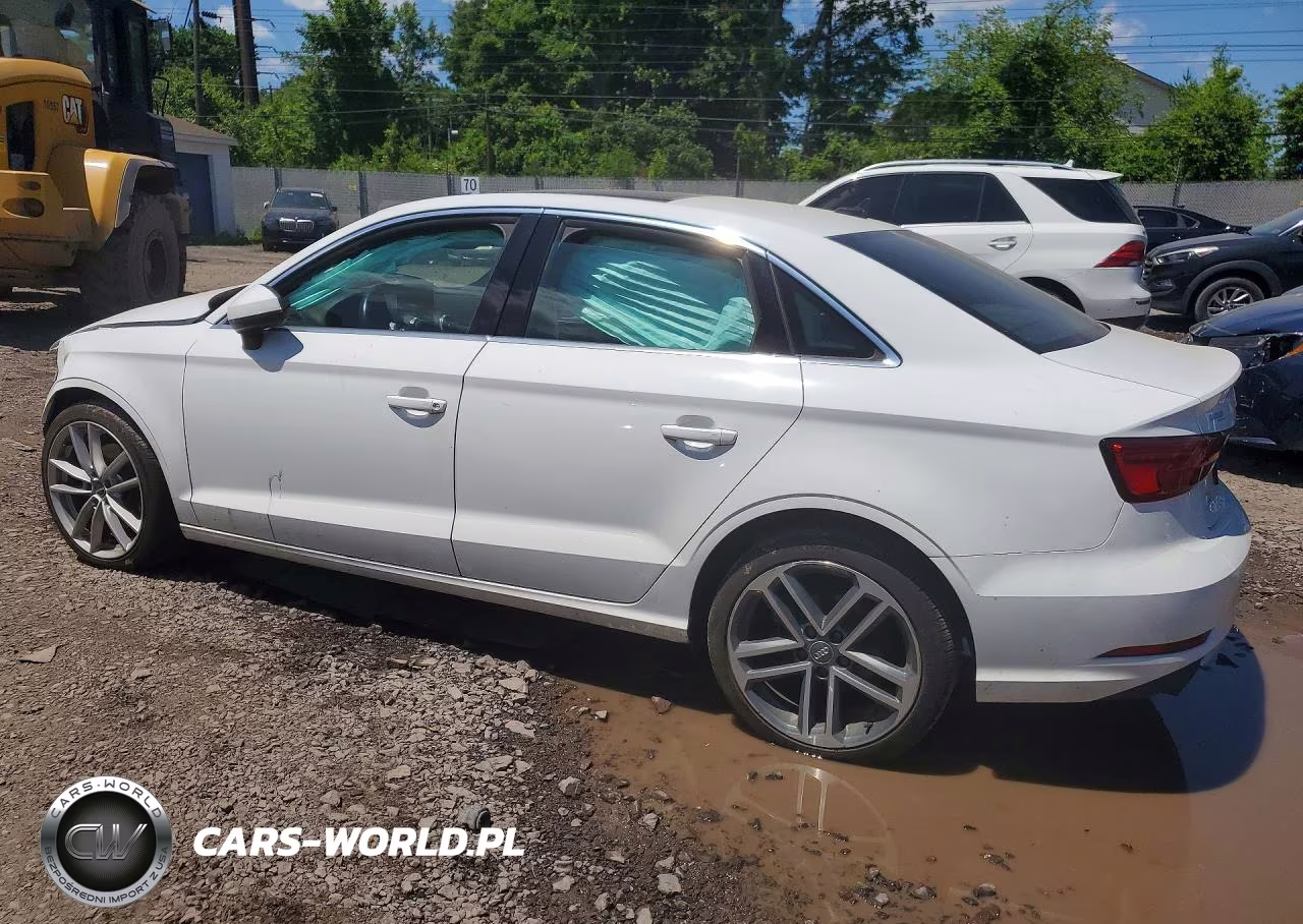 2019 Audi A3 Premium VIN:WAUAUGFF9K1012249 - 2