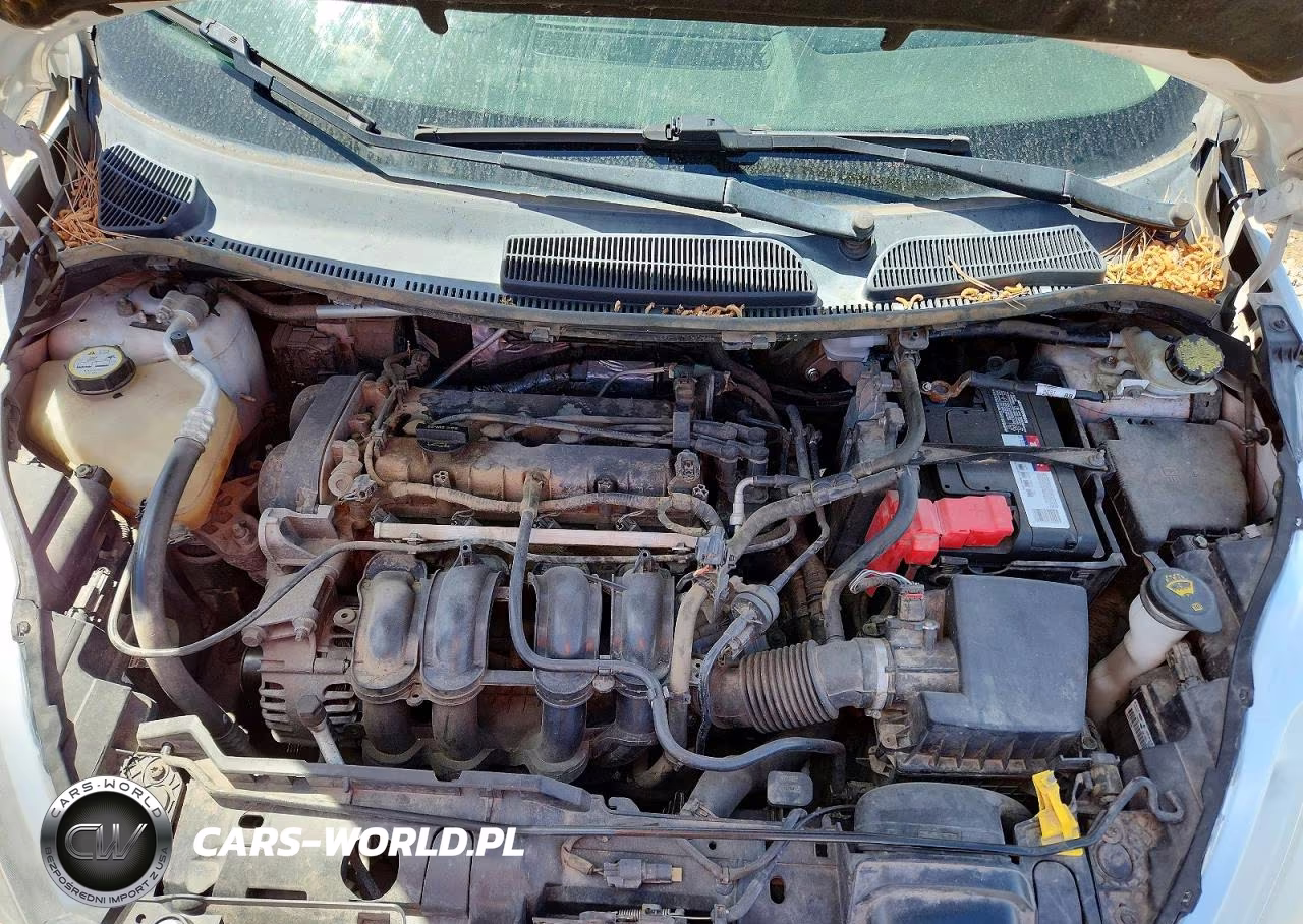 2011 Ford Fiesta Se VIN:3FADP4BJ2BM226198 - 11