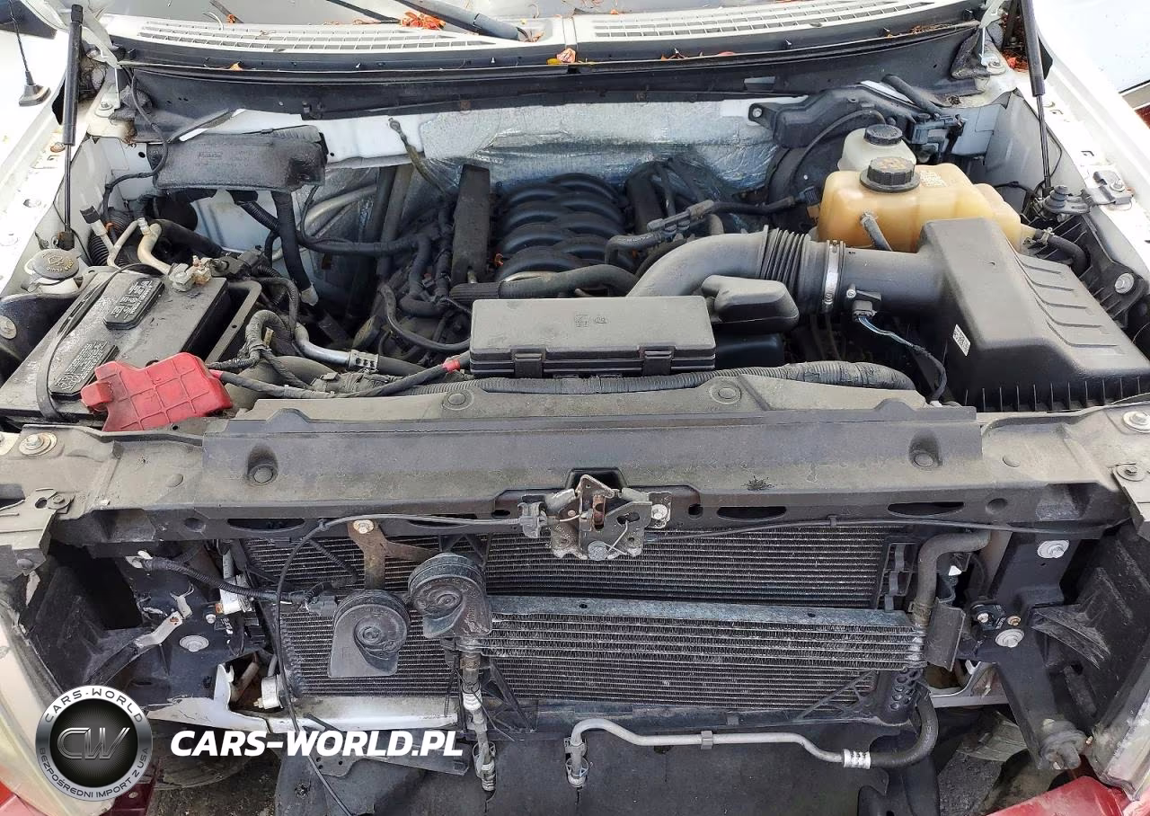 2012 Ford F150 Supercrew VIN:1FTFW1EFXCFA65368 - 11
