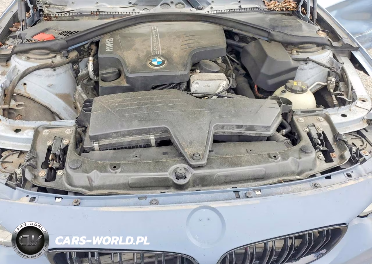 2015 BMW 428 Xi VIN:WBA3N5C50FK197460 - 11