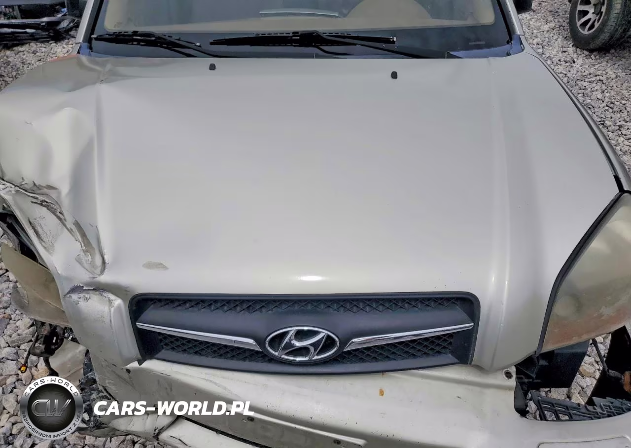 2009 Hyundai Tucson Gls VIN:KM8JM12B49U971629 - 12