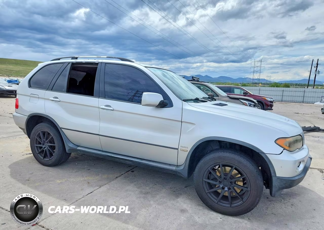 2006 BMW X5 3.0I VIN:5UXFA13506LY31105 - 4