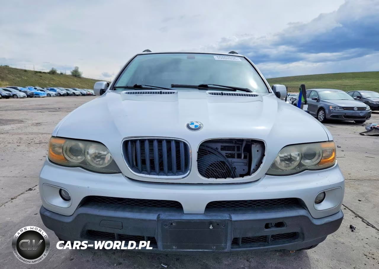 2006 BMW X5 3.0I VIN:5UXFA13506LY31105 - 5