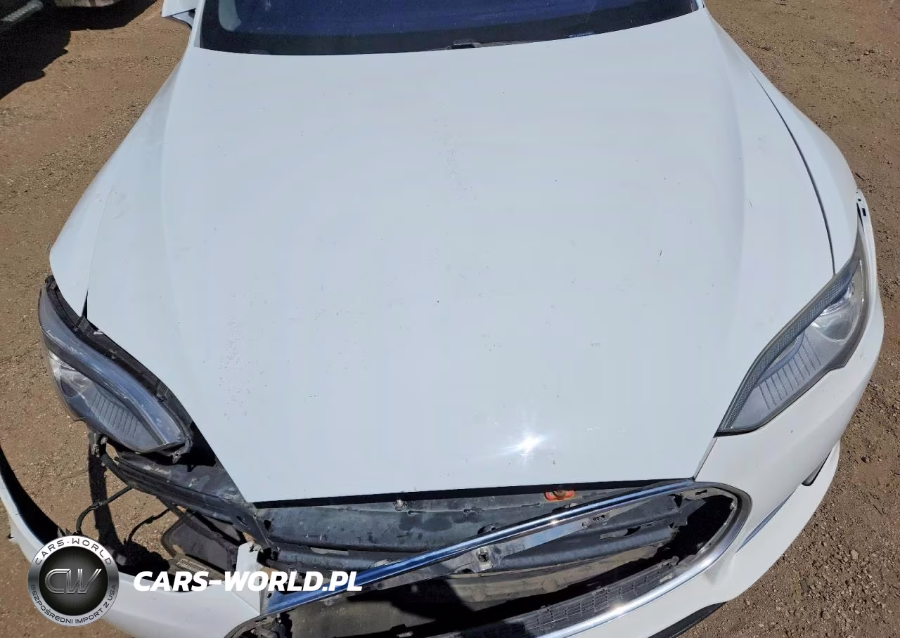 2013 Tesla Model S VIN:5YJSA1CG3DFP27497 - 11