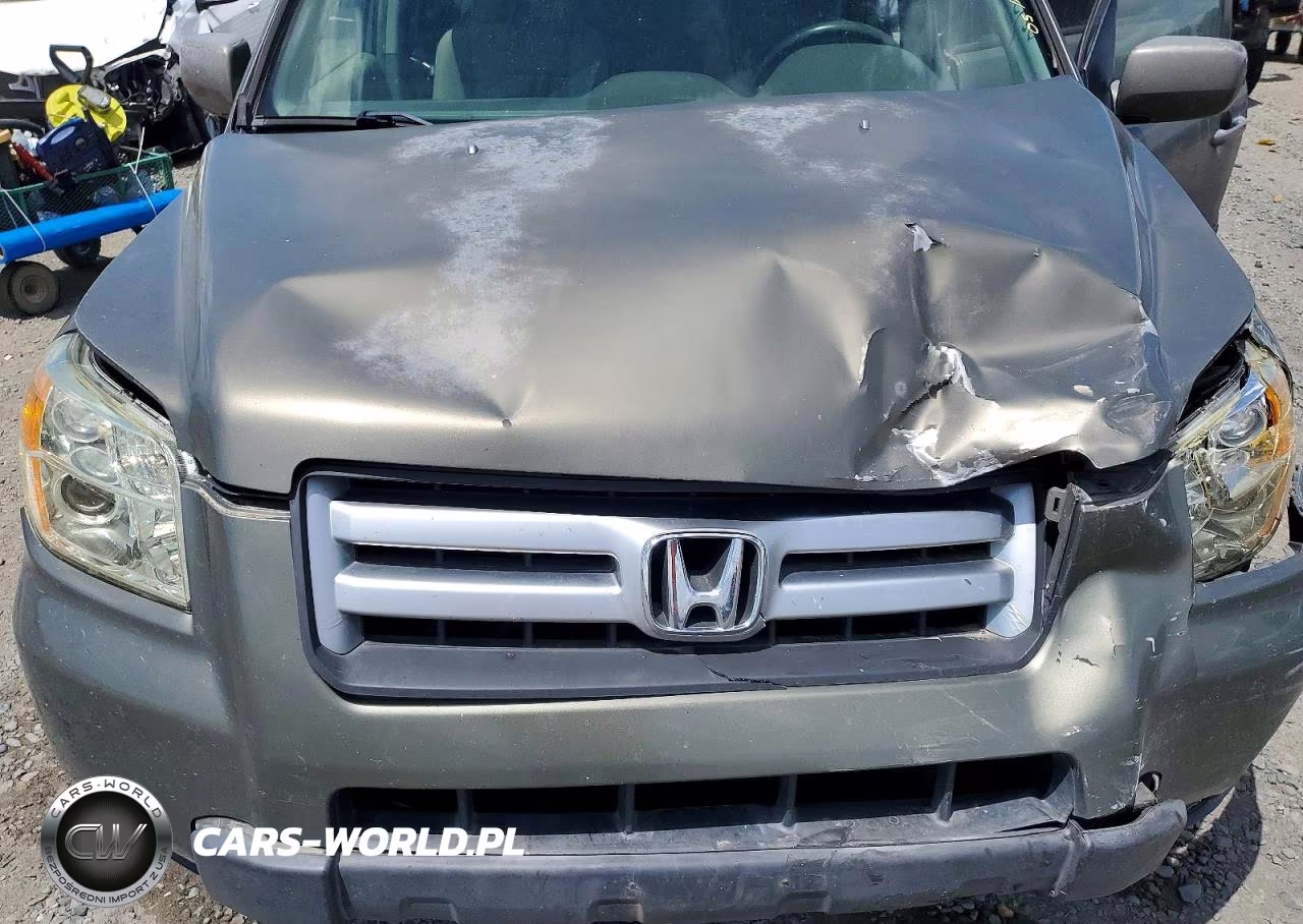 2007 Honda Pilot Ex VIN:2HKYF18417H505122 - 11