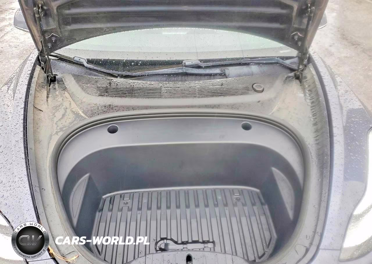 2020 Tesla Model 3 VIN:5YJ3E1EA5LF799186 - 11