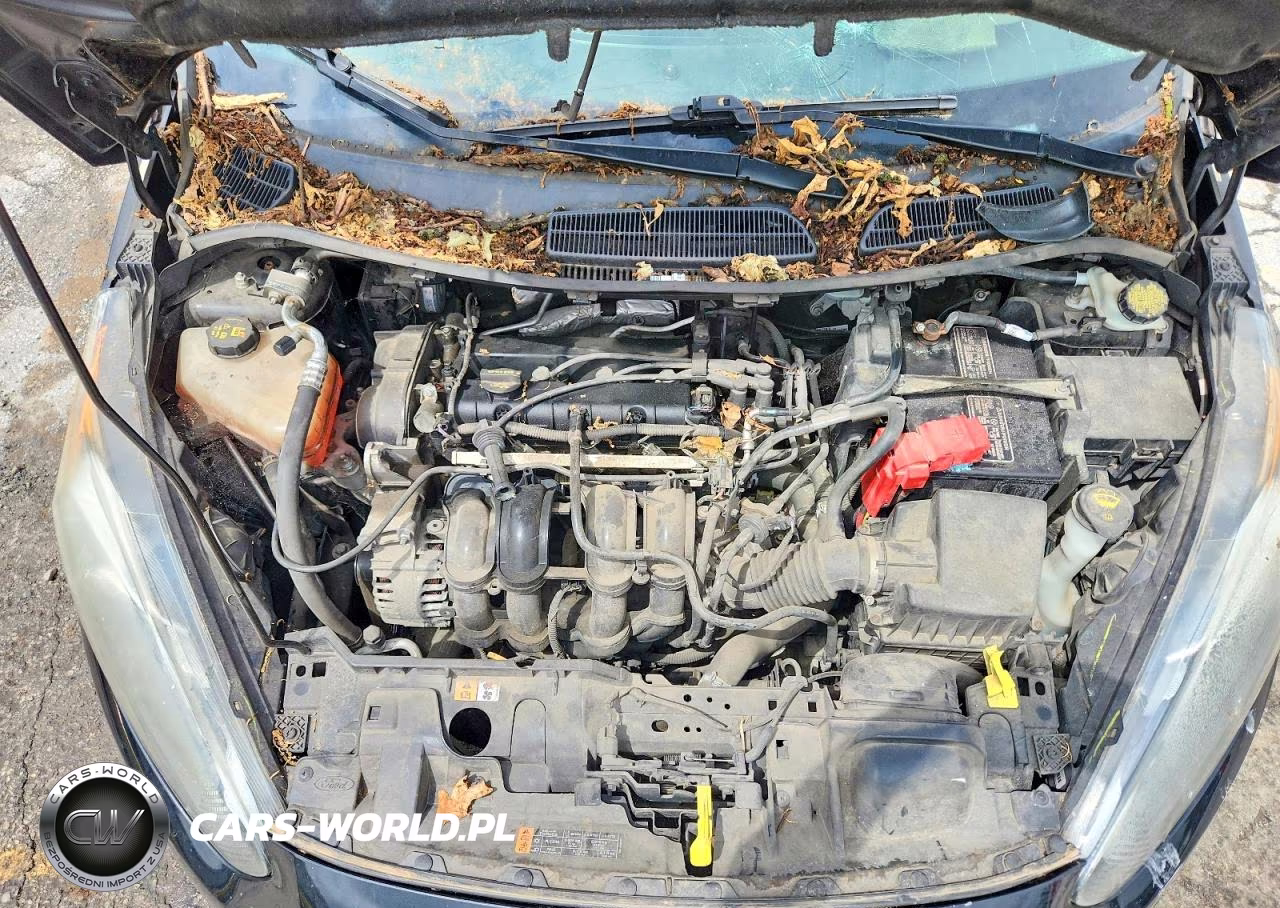 2015 Ford Fiesta Se VIN:3FADP4BJXFM219358 - 11