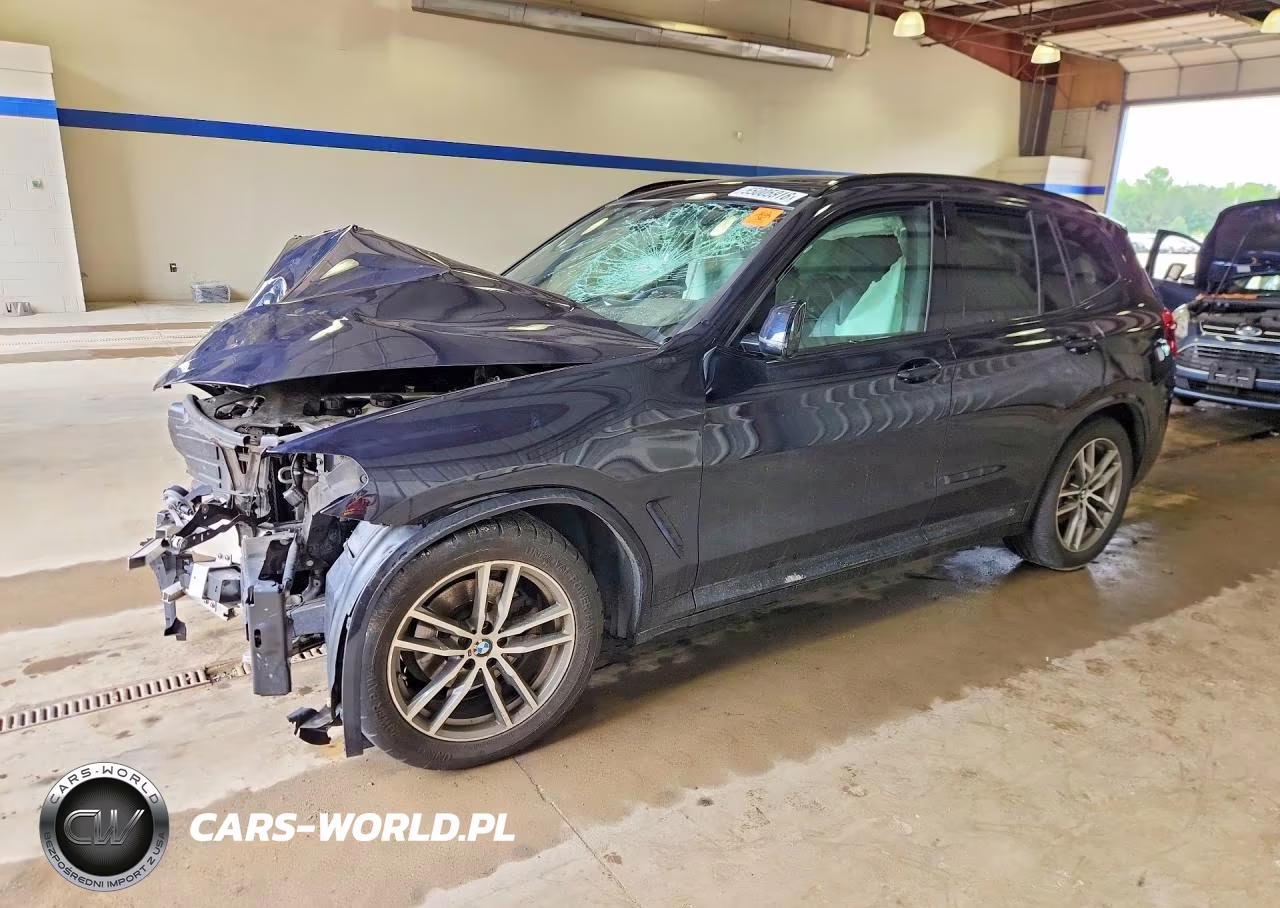 2018 BMW X3 xDrive30I – zdjęcie 1 z 13