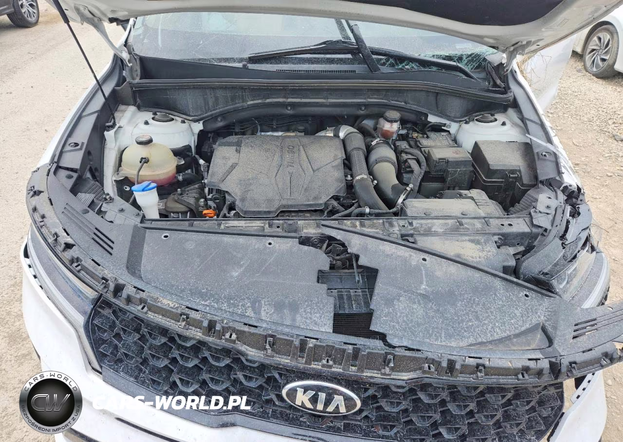 2021 Kia Sorento Sx VIN:5XYRKDLF9MG053529 - 12