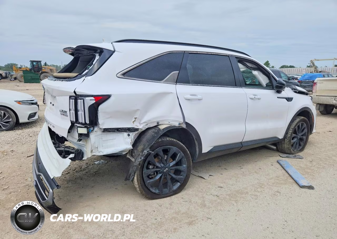 2021 Kia Sorento Sx VIN:5XYRKDLF9MG053529 - 3