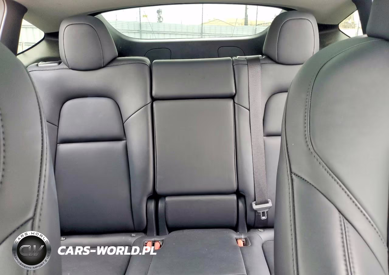 2024 Tesla Model Y VIN:7SAYGDEE6RF159293 - 10