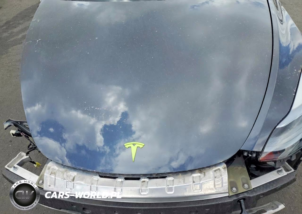 2024 Tesla Model Y VIN:7SAYGDEE6RF159293 - 12
