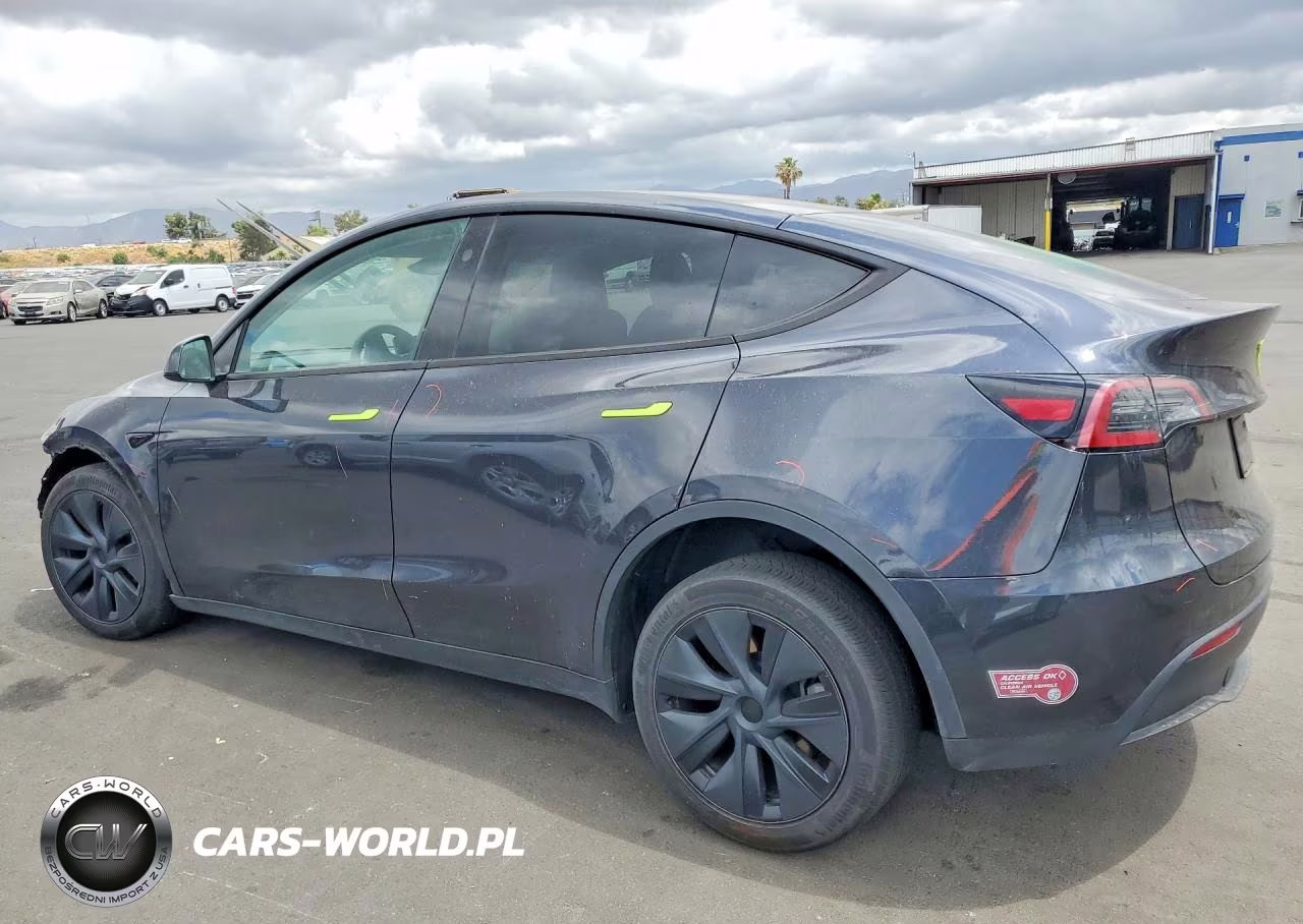 2024 Tesla Model Y VIN:7SAYGDEE6RF159293 - 2