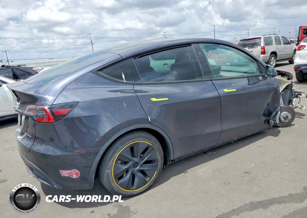 2024 Tesla Model Y VIN:7SAYGDEE6RF159293 - 3