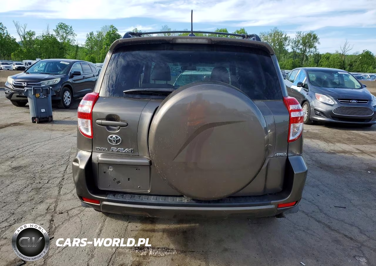 2009 Toyota Rav4 Base VIN:JTMBF33V195000640 - 6