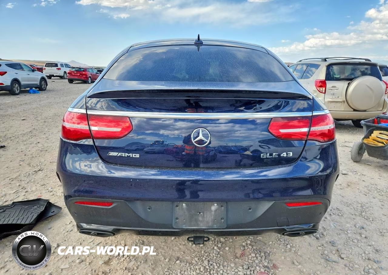 2019 Mercedes-Benz Gle Coupe 43 Amg VIN:4JGED6EB0KA134832 - 6