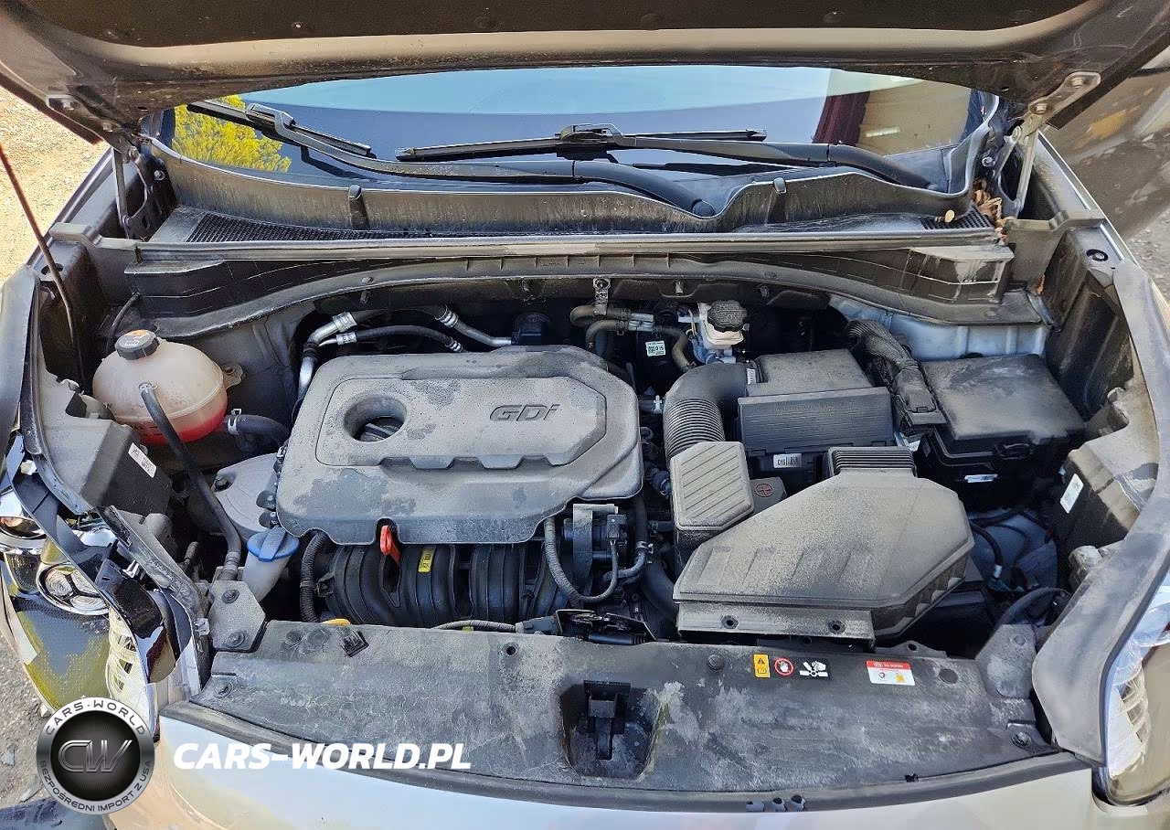 2022 Kia Sportage Lx VIN:KNDPMCAC8N7953518 - 12