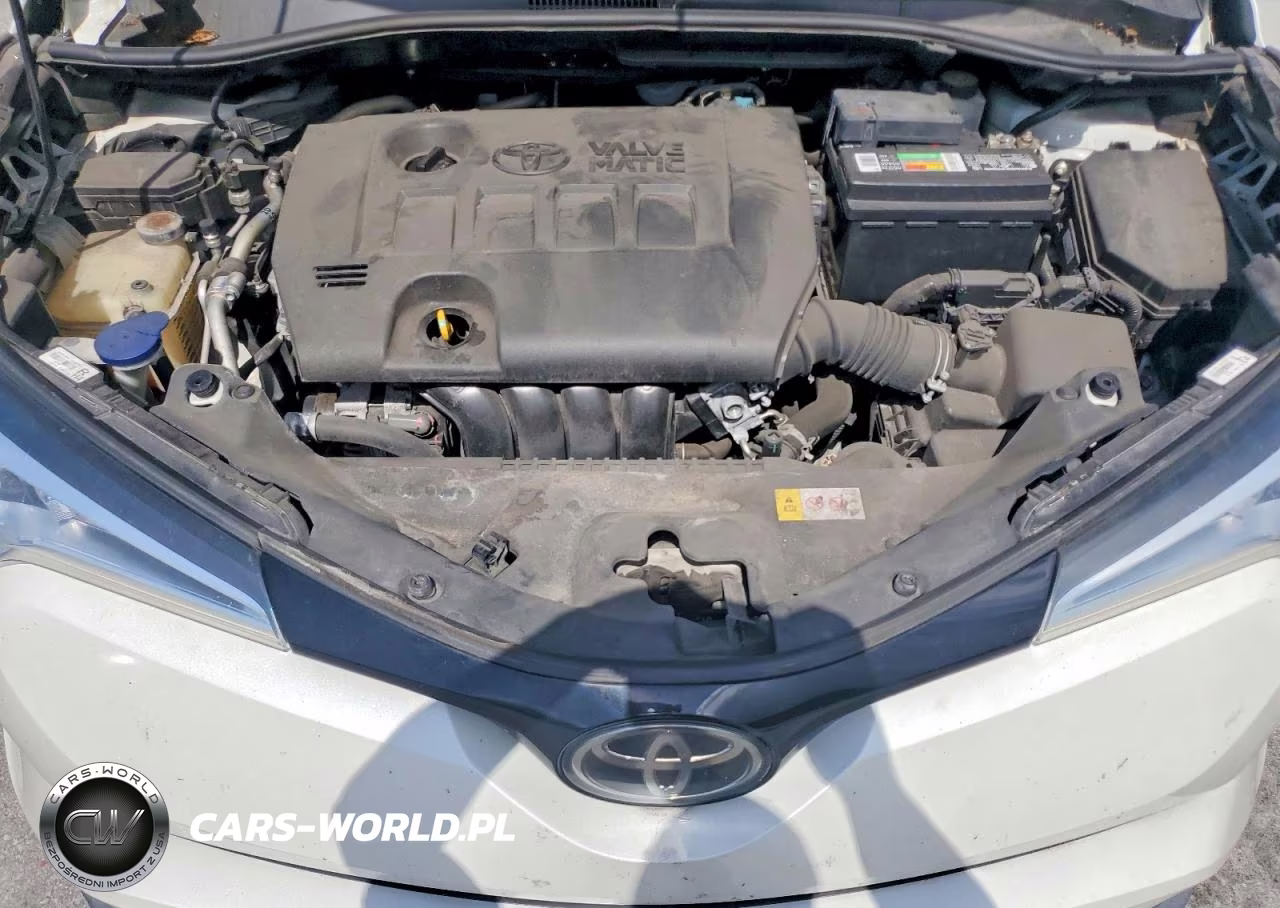 2019 Toyota C-Hr Xle VIN:NMTKHMBX6KR091518 - 12