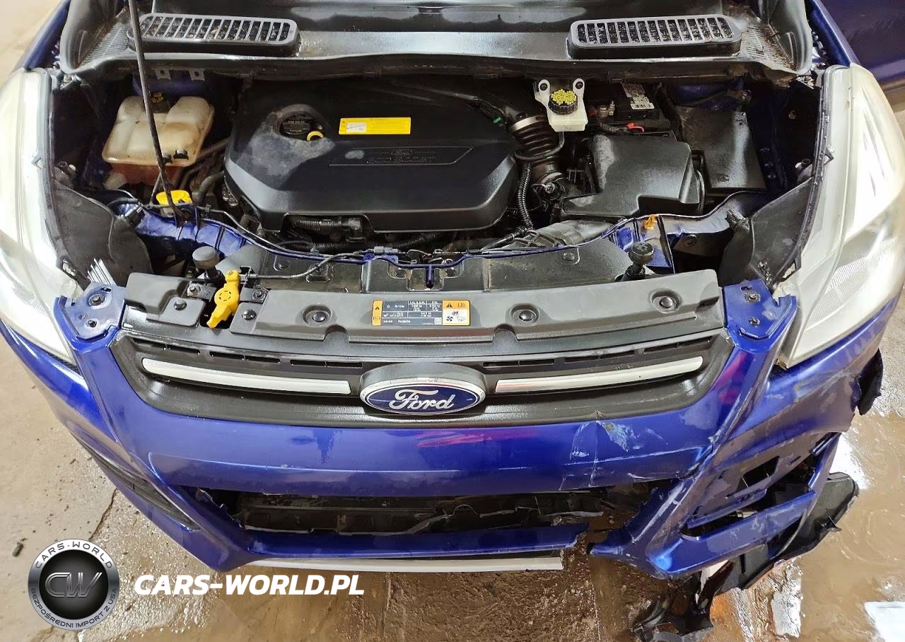 2016 Ford Escape Se VIN:1FMCU0GX3GUB35220 - 12