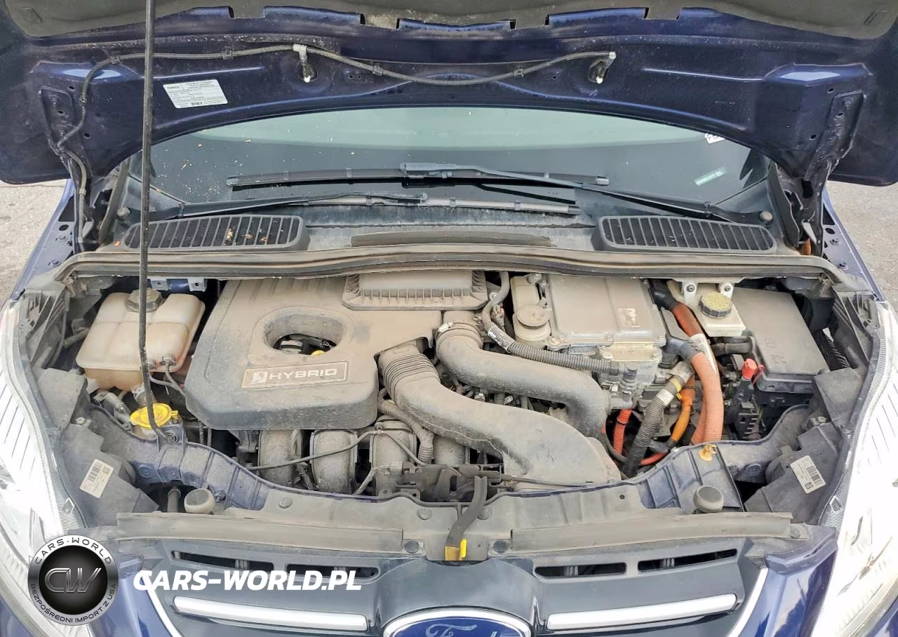 2017 Ford C-Max Titanium VIN:1FADP5DU0HL118718 - 11