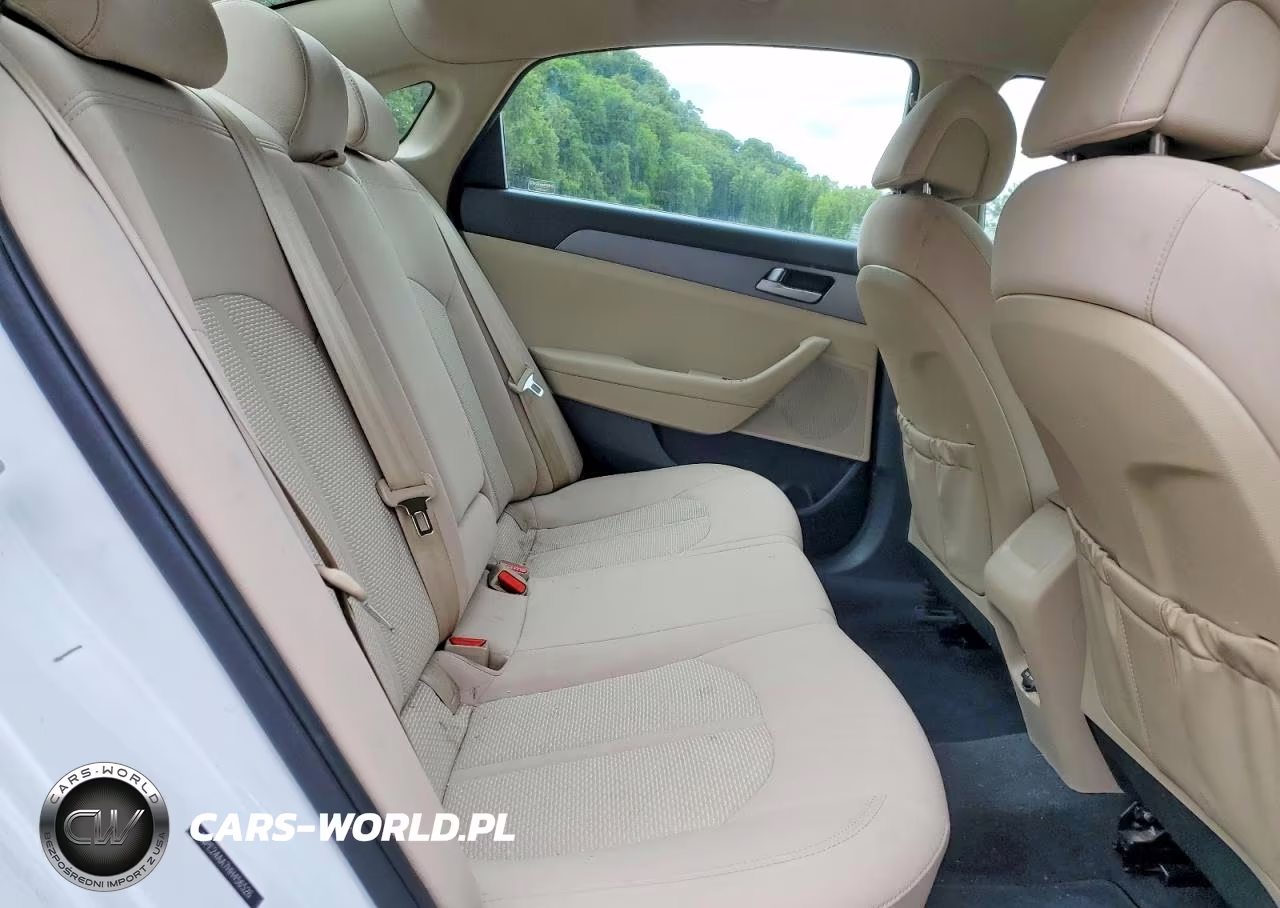 2017 Hyundai Sonata Eco VIN:5NPE24AA7HH456526 - 10