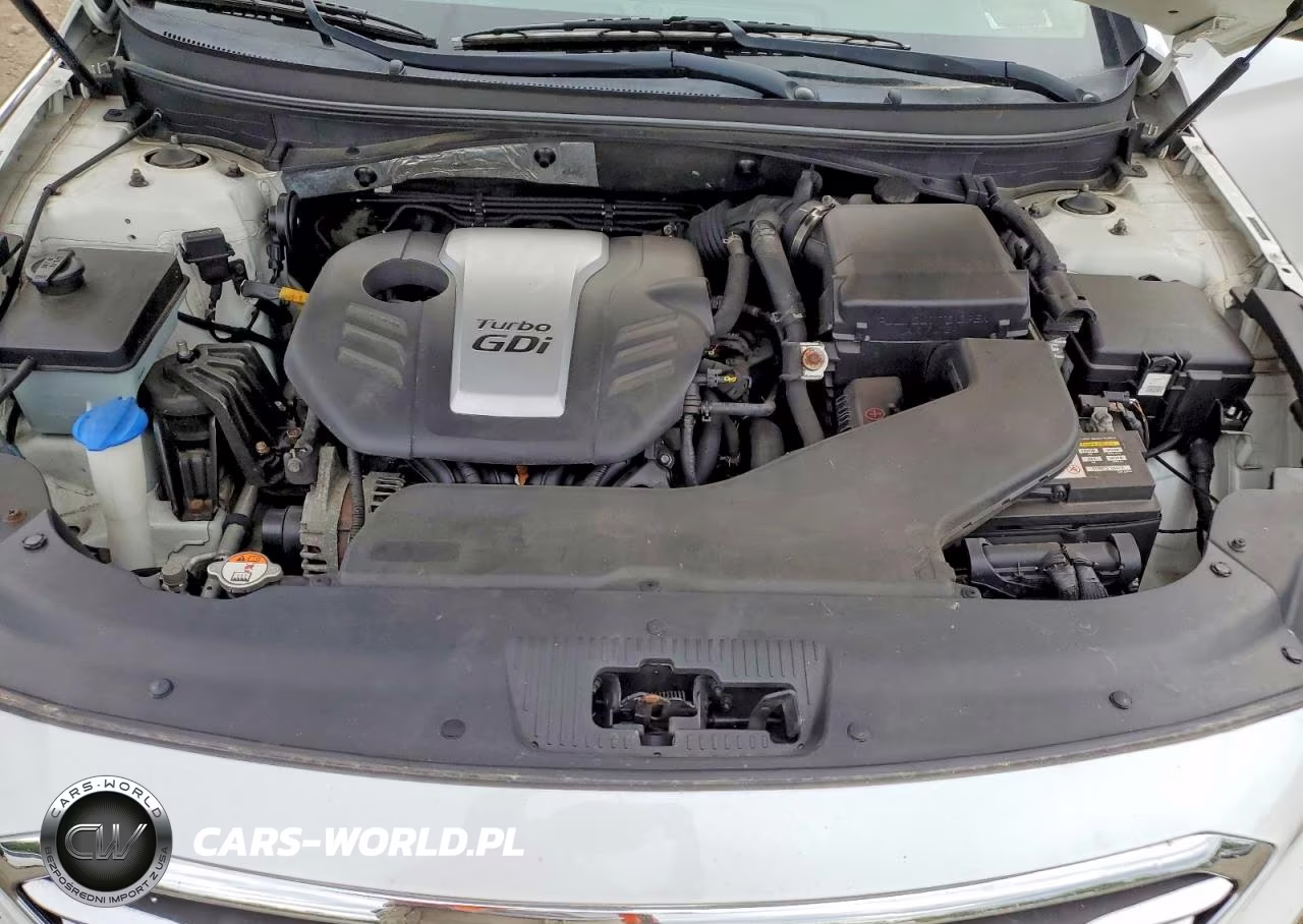 2017 Hyundai Sonata Eco VIN:5NPE24AA7HH456526 - 11