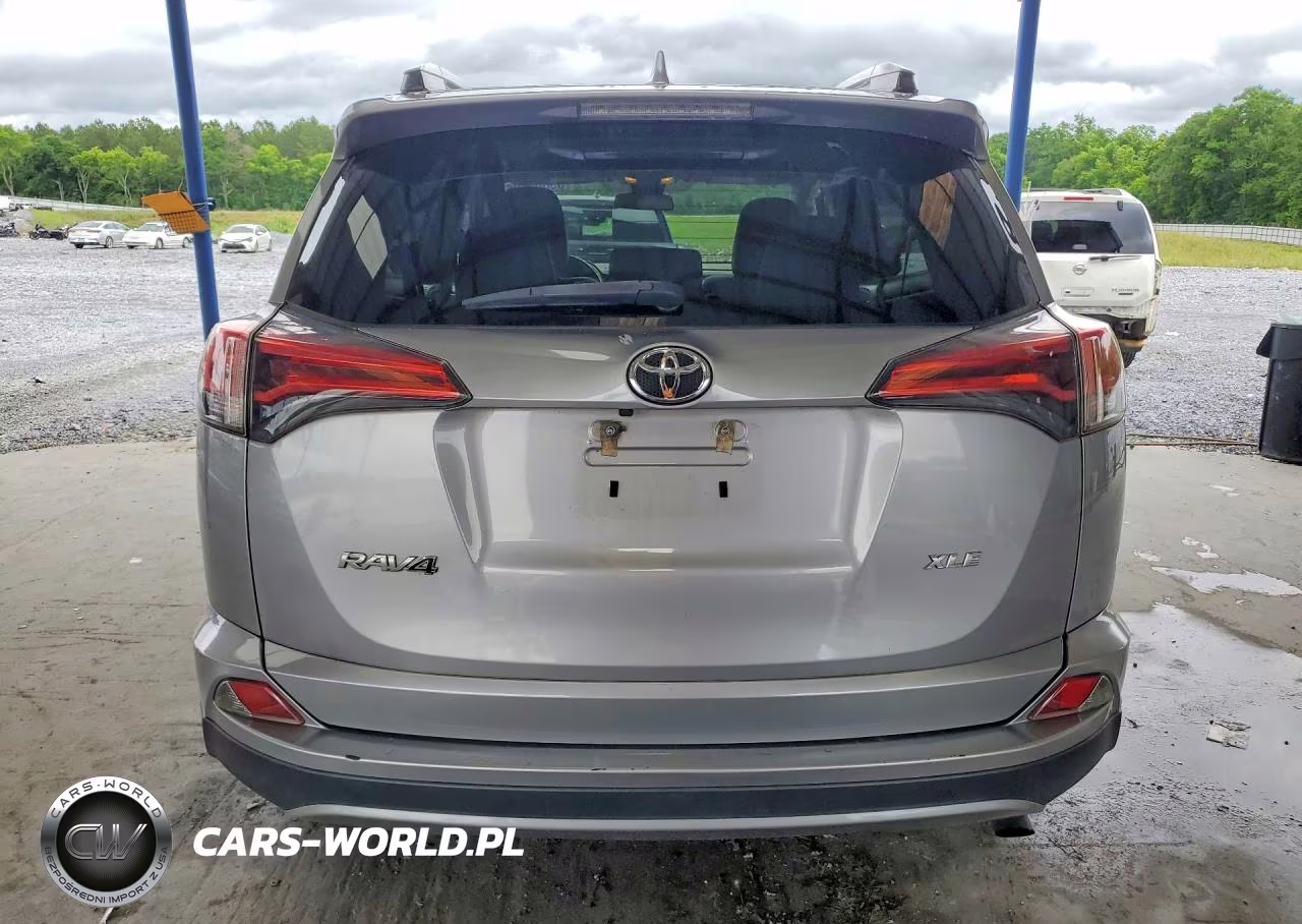2017 Toyota Rav4 Xle VIN:2T3WFREV4HW394692 - 6
