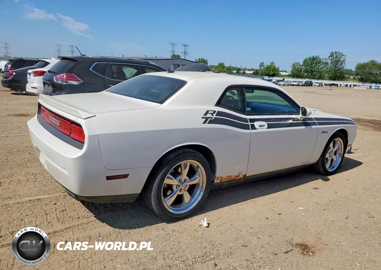 2010 Dodge Challenger R VIN:2B3CJ5DT3AH174719 - 3
