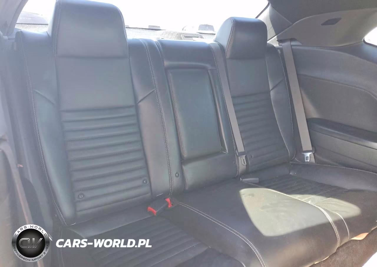 2014 Dodge Challenger R VIN:2C3CDYBTXEH225413 - 10
