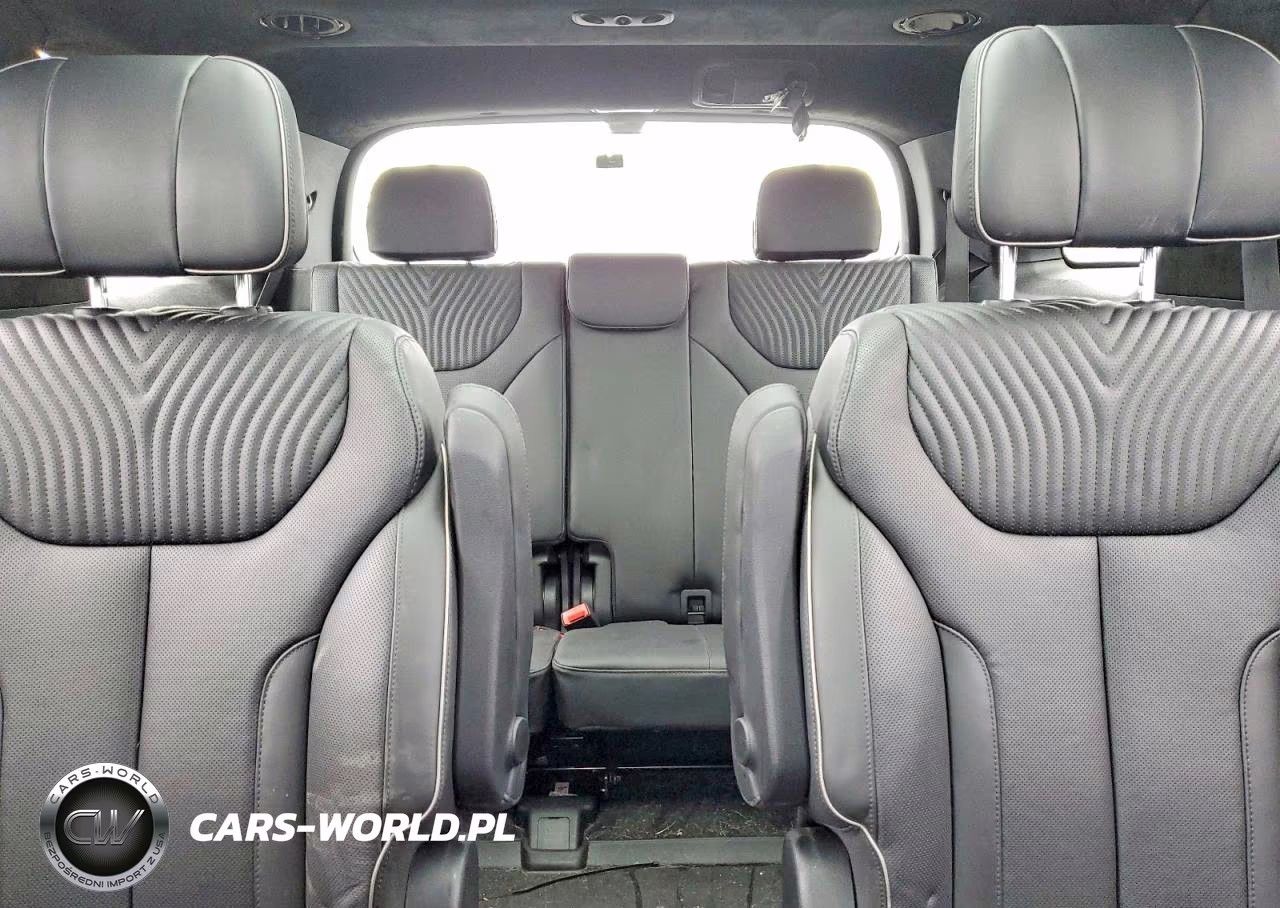 2023 Hyundai Palisade Calligraphy VIN:KM8R7DGE5PU569985 - 10