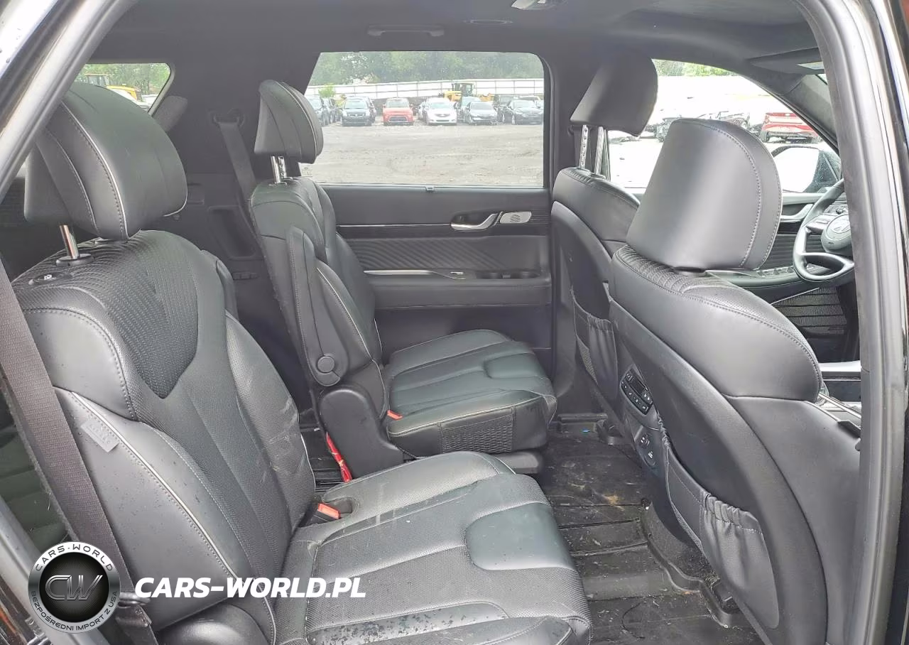 2023 Hyundai Palisade Calligraphy VIN:KM8R7DGE5PU569985 - 11