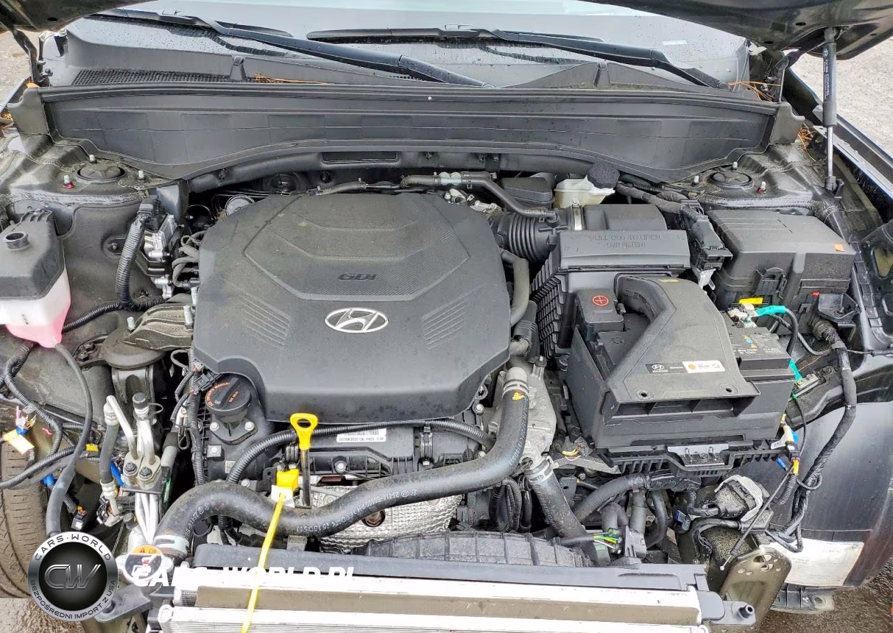 2023 Hyundai Palisade Calligraphy VIN:KM8R7DGE5PU569985 - 12