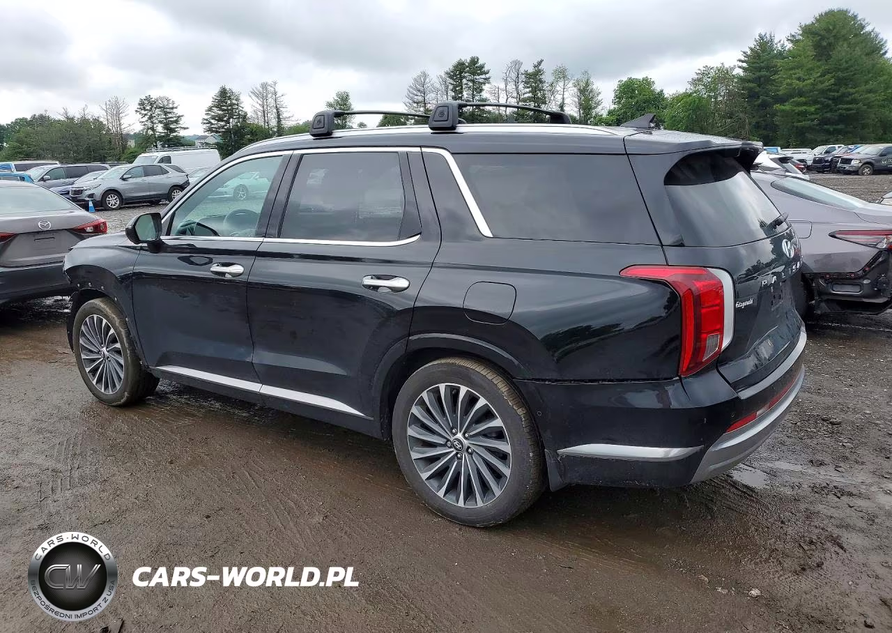 2023 Hyundai Palisade Calligraphy VIN:KM8R7DGE5PU569985 - 2