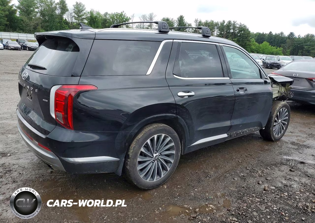 2023 Hyundai Palisade Calligraphy VIN:KM8R7DGE5PU569985 - 3