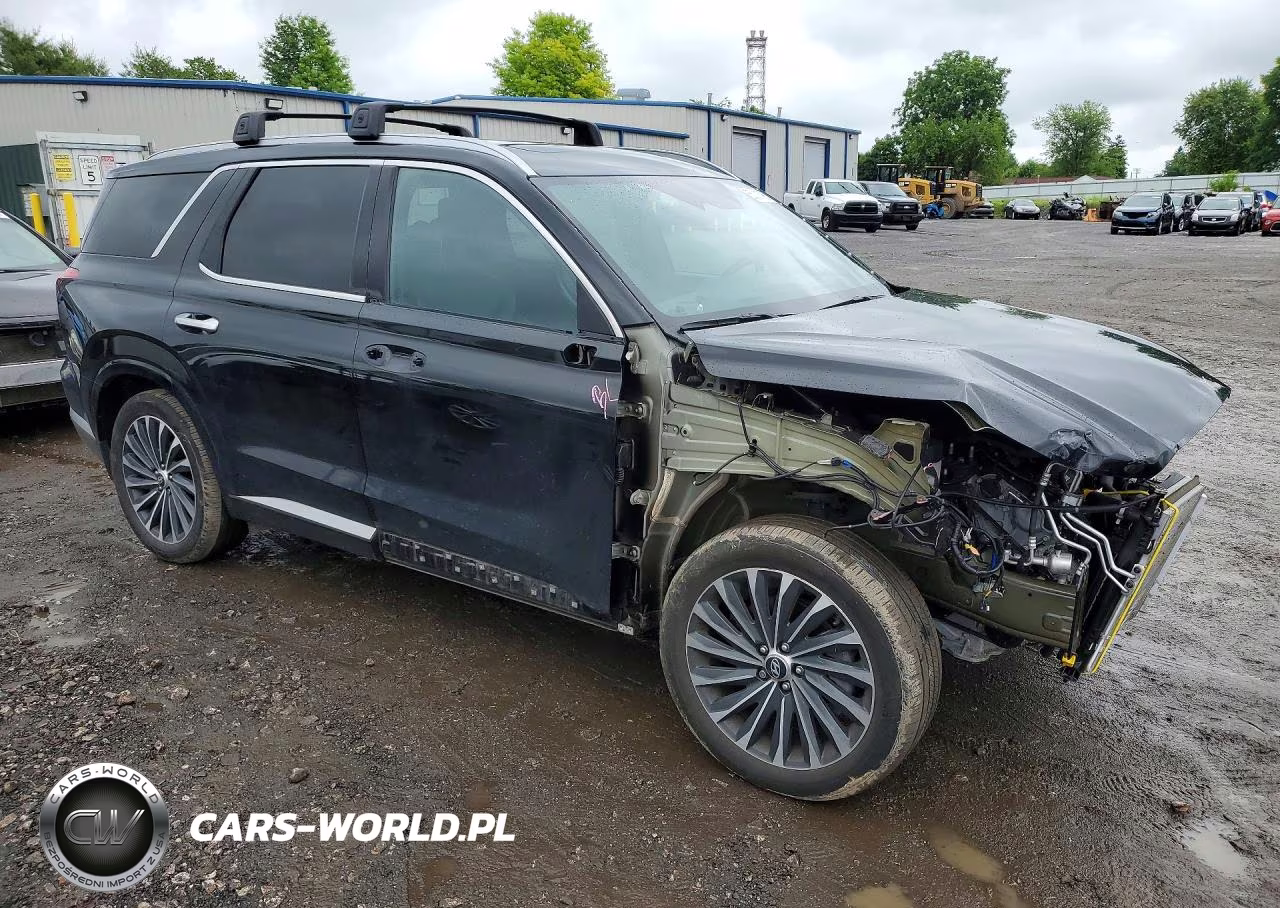 2023 Hyundai Palisade Calligraphy VIN:KM8R7DGE5PU569985 - 4