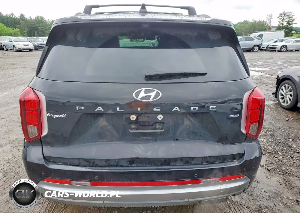 2023 Hyundai Palisade Calligraphy VIN:KM8R7DGE5PU569985 - 6
