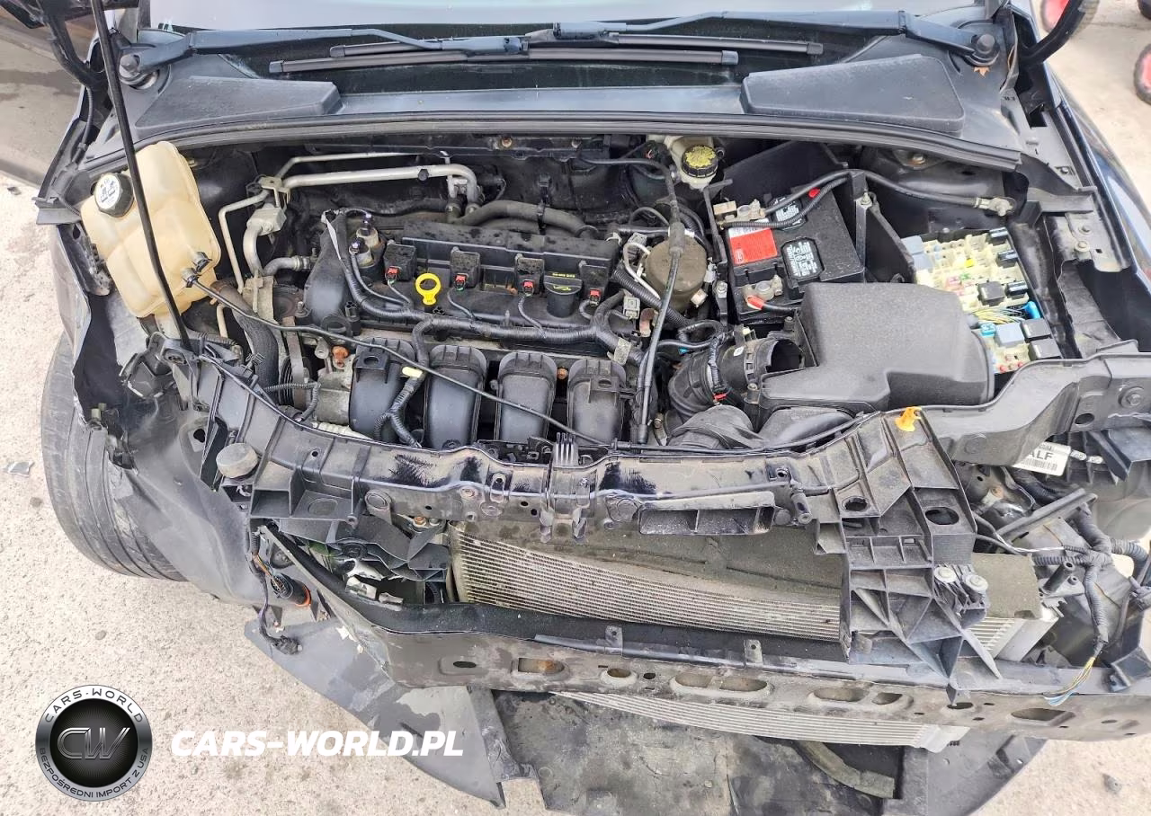 2013 Ford Focus Se VIN:1FADP3F2XDL318029 - 11