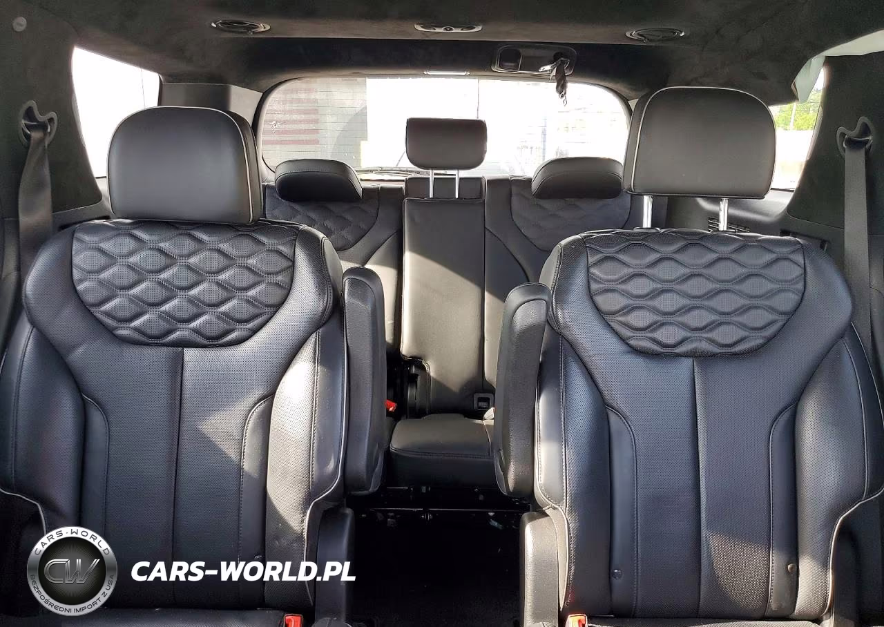 2021 Hyundai Palisade Calligraphy VIN:KM8R7DHE3MU253138 - 10