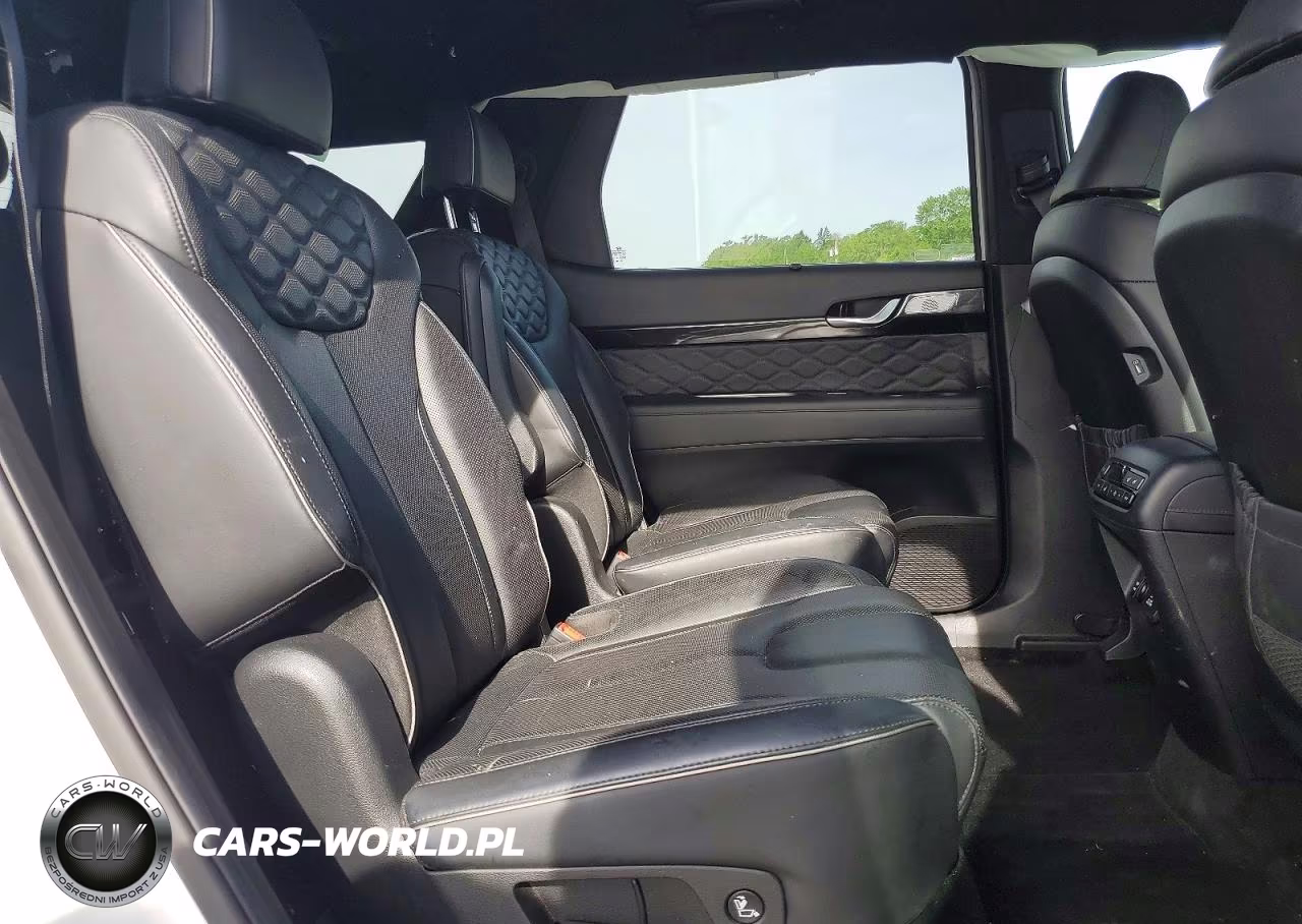 2021 Hyundai Palisade Calligraphy VIN:KM8R7DHE3MU253138 - 11