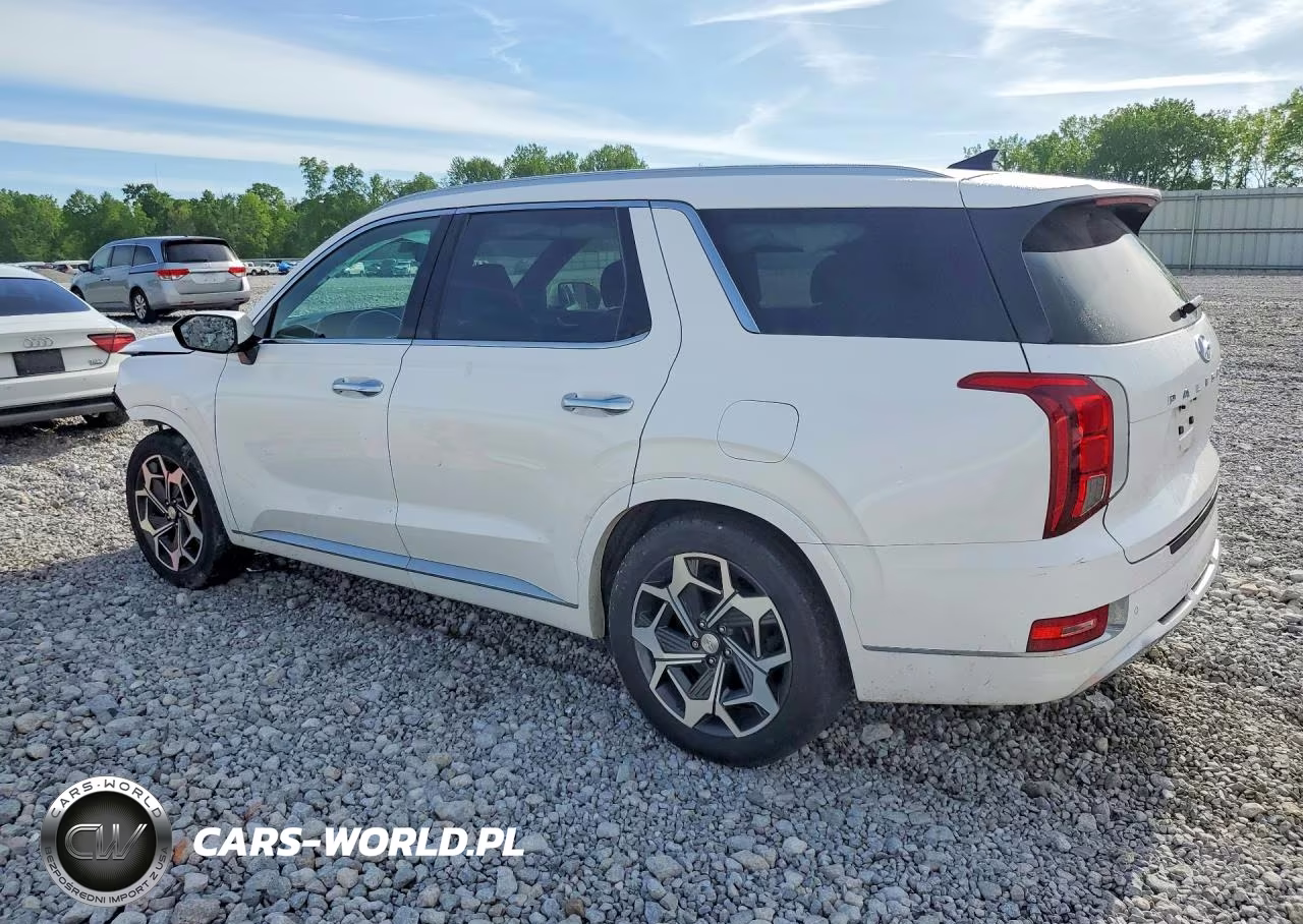 2021 Hyundai Palisade Calligraphy VIN:KM8R7DHE3MU253138 - 2