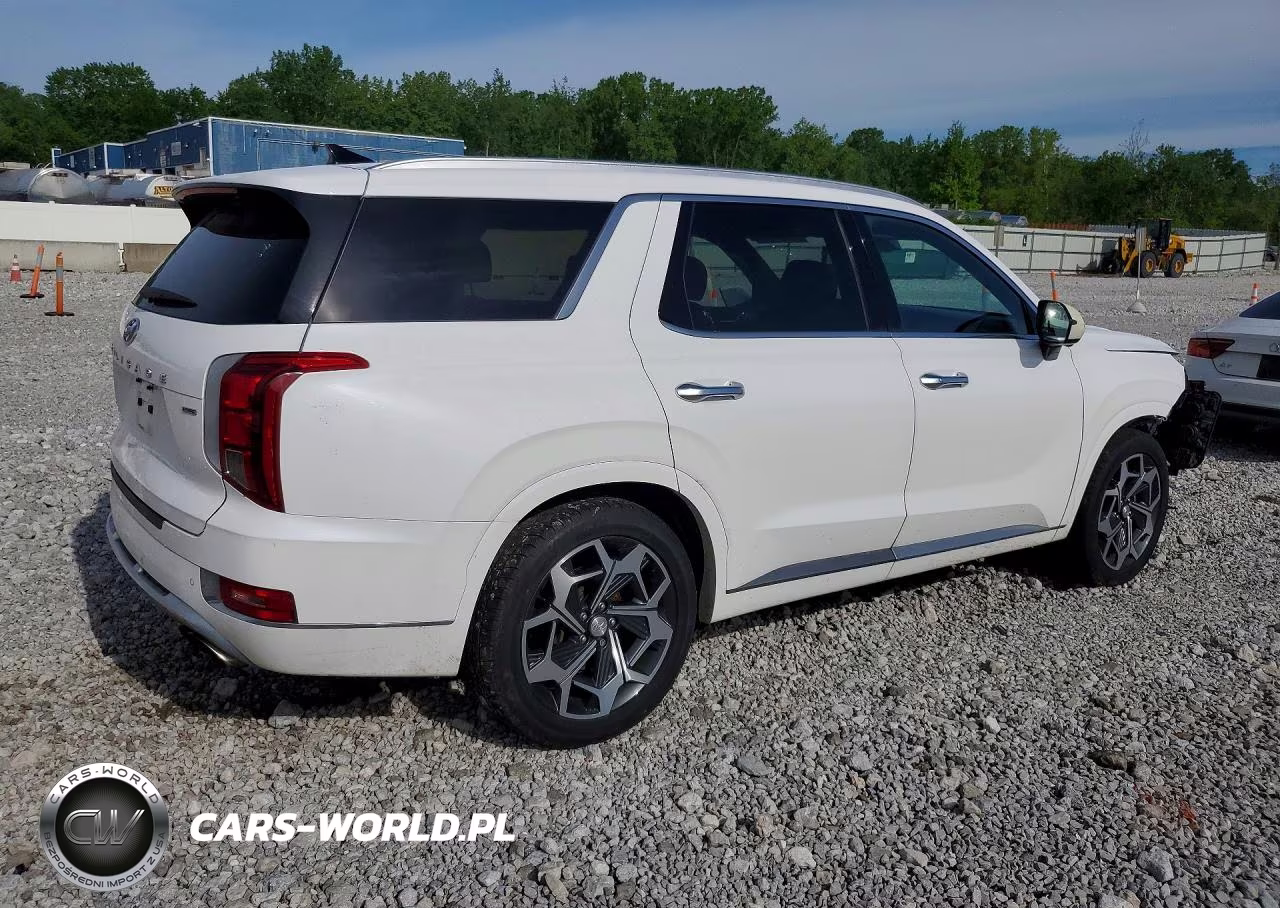 2021 Hyundai Palisade Calligraphy VIN:KM8R7DHE3MU253138 - 3