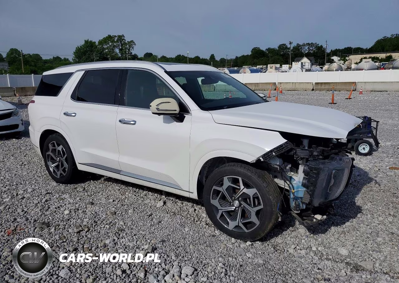 2021 Hyundai Palisade Calligraphy VIN:KM8R7DHE3MU253138 - 4