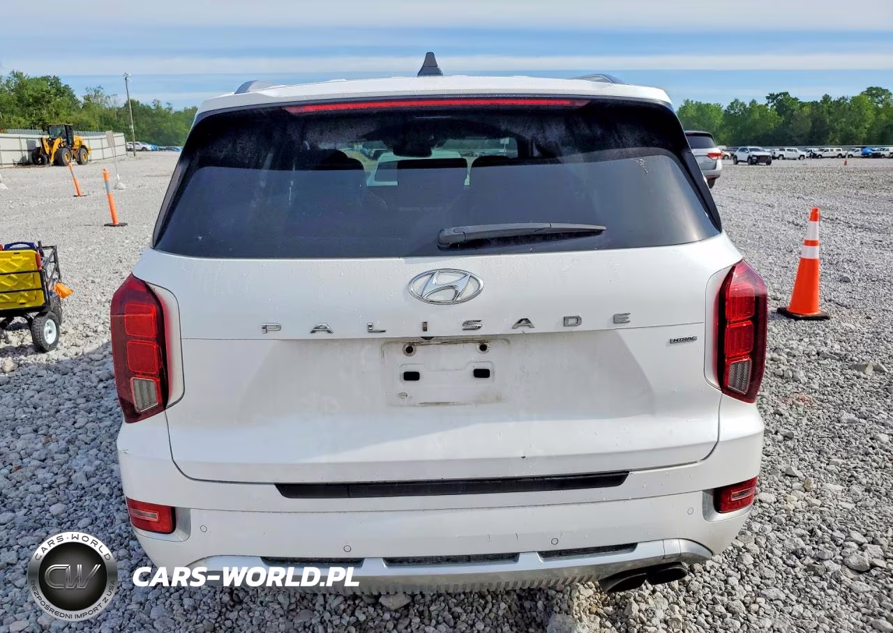 2021 Hyundai Palisade Calligraphy VIN:KM8R7DHE3MU253138 - 6
