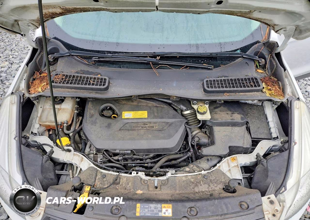 2014 Ford Escape Se VIN:1FMCU0GX0EUA40482 - 12