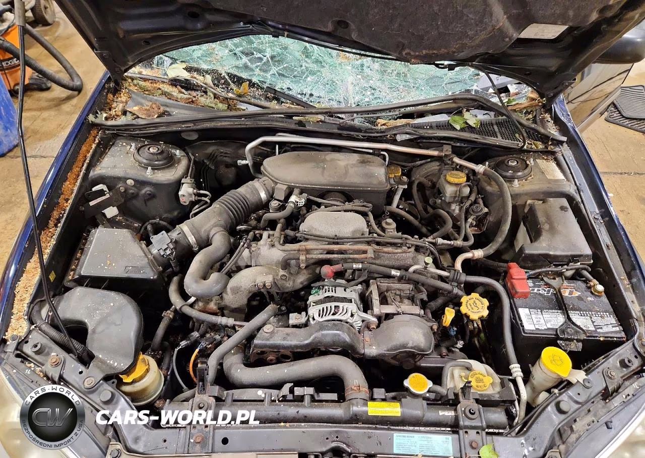 2006 Subaru Impreza Outback Sport VIN:JF1GG68656G808646 - 11