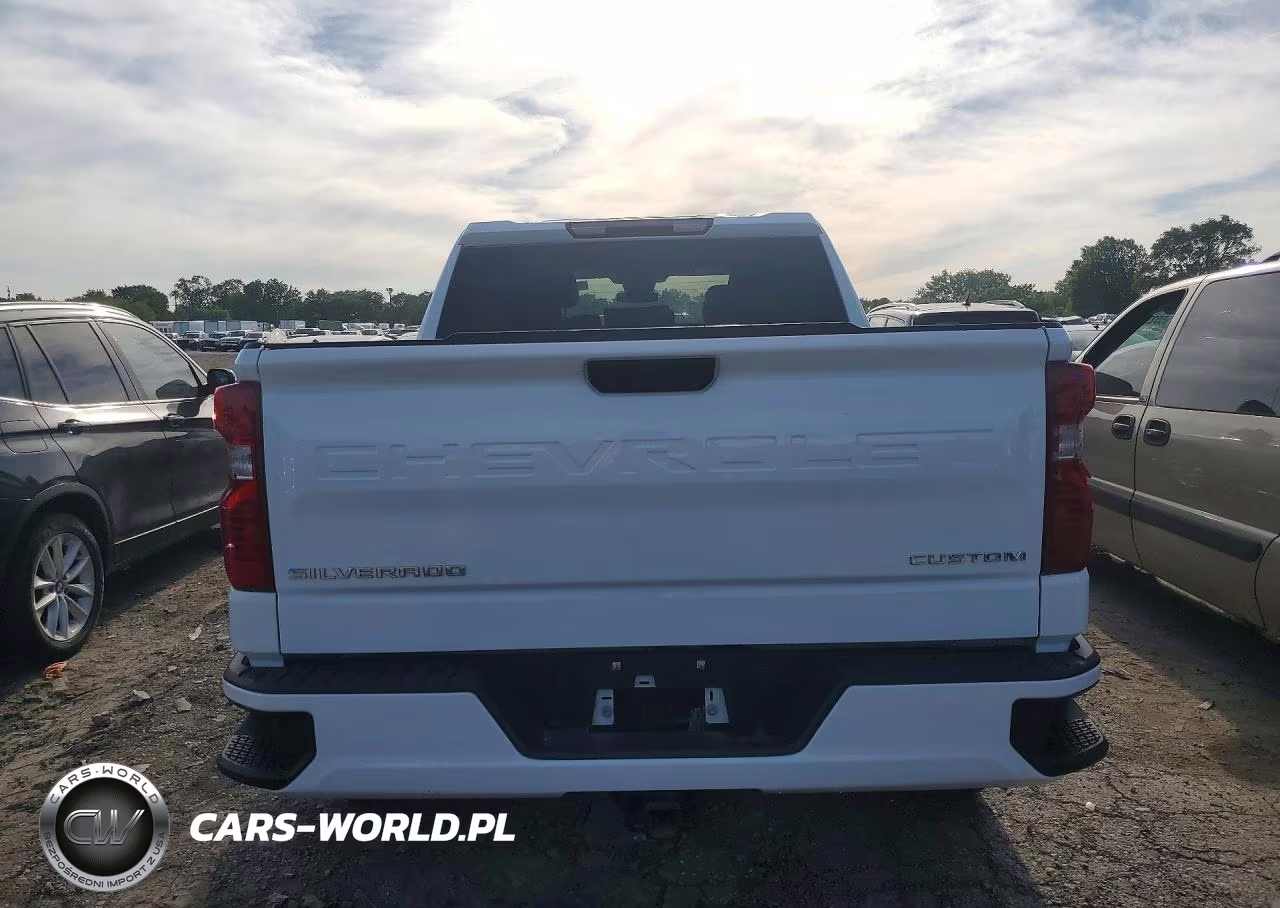 2024 Chevrolet Silverado K1500 Custom VIN:1GCPDBEK9RZ252038 - 6