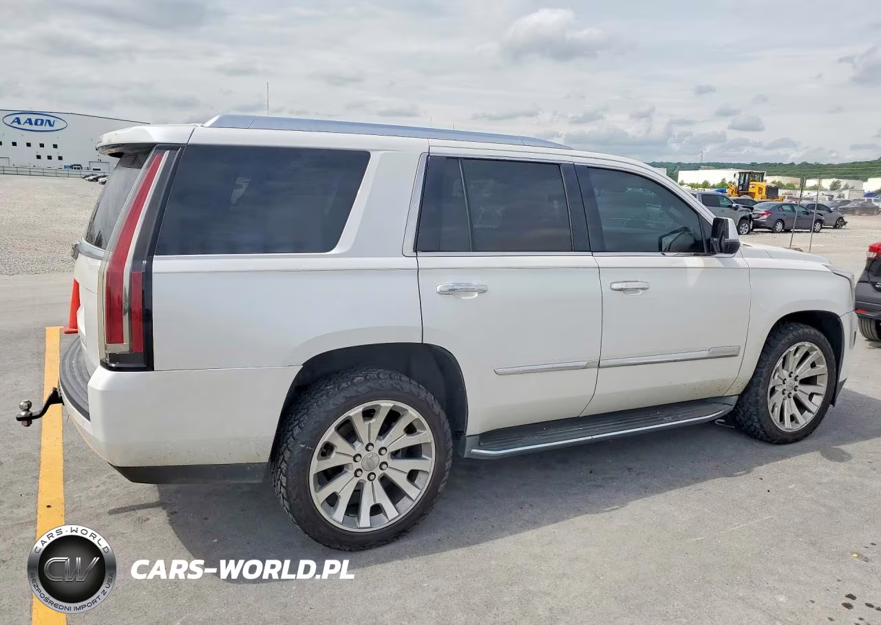 2016 Cadillac Escalade Luxury VIN:1GYS4BKJ6GR384199 - 3