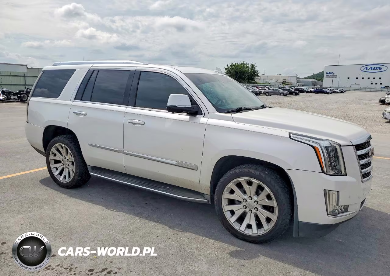 2016 Cadillac Escalade Luxury VIN:1GYS4BKJ6GR384199 - 4